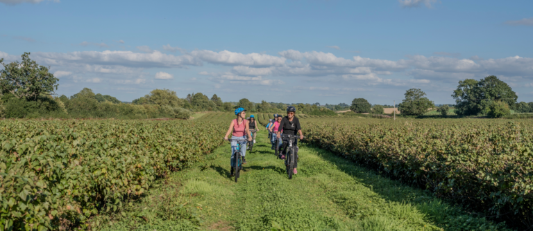 E-Bike Vineyard Tours AT White Heron Estate – a new hEREFORDSHIRE aTTRACTION