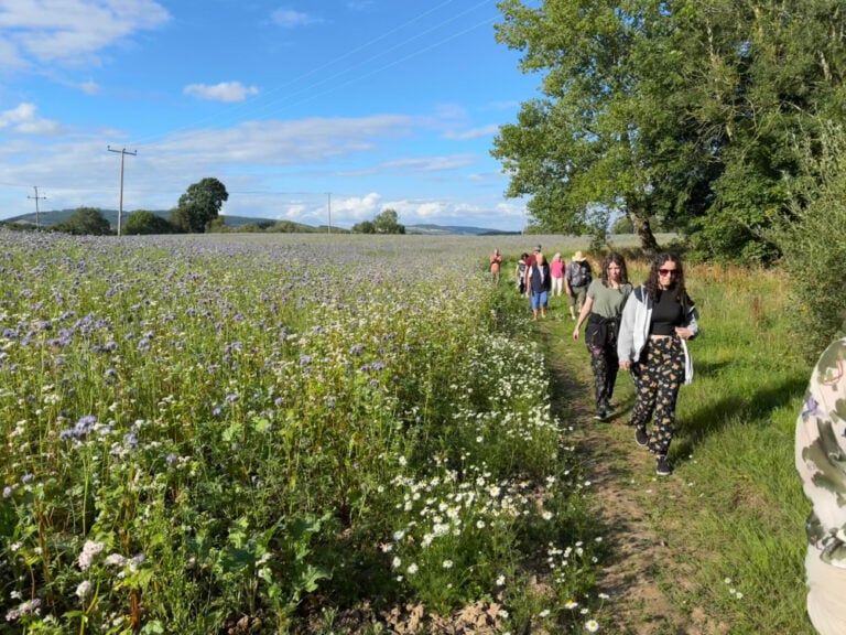 Walking Tour & Tasting