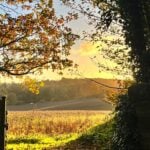 Autumn in Herefordshire