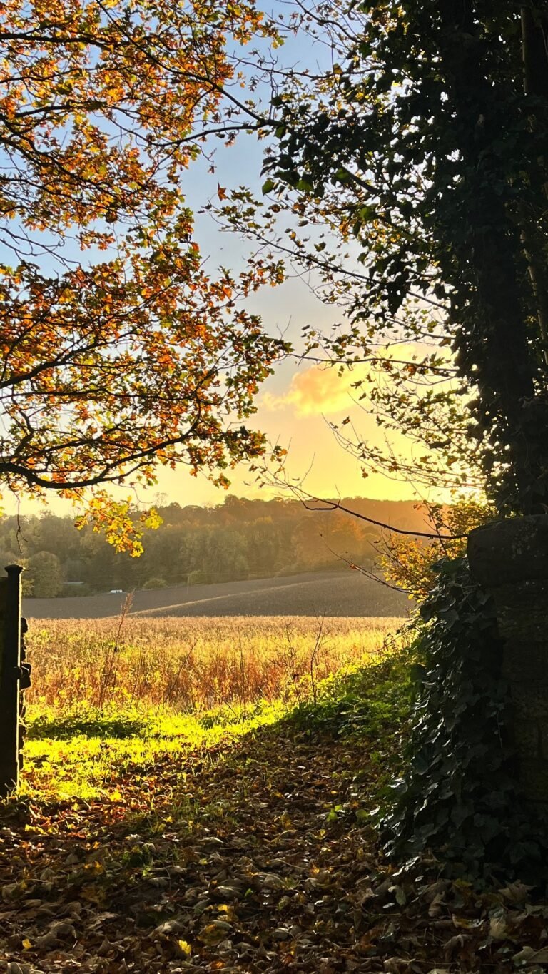Autumn in Herefordshire