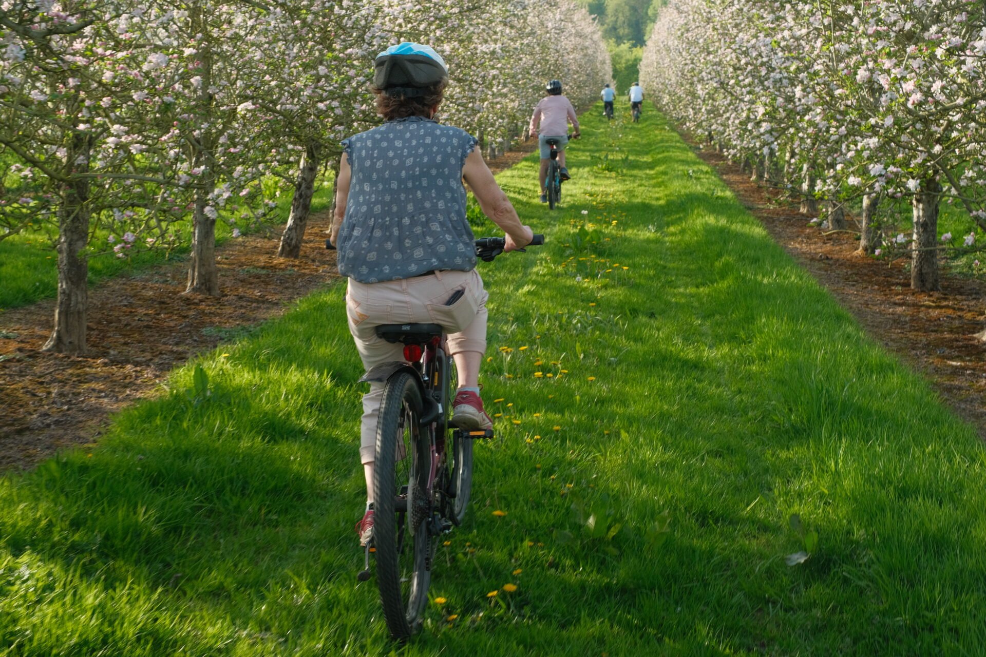 “Guests enjoying a guided eBike Blossom Tour at White Heron Estate